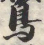 鸎 위치 확인됨