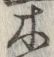 位置 確認된 木