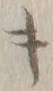 字キ