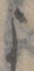 미지정 위치 확인됨