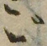 位置 確認된 ご