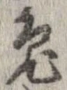 兎 위치 확인됨