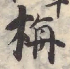 栴 위치 확인됨