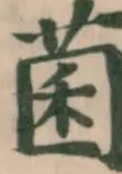 Located 菌