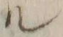 字ル