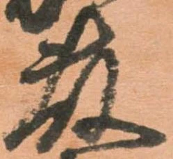 藤の位置