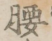 腰 위치 확인됨