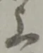글자 上
