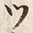 「ツ」字