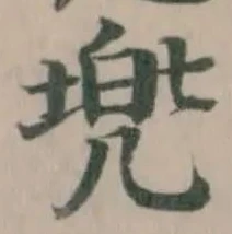 兠の位置