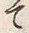 “て”字