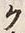 “ク”字