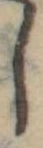 𛁅 위치 확인됨