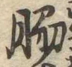 Đã định vị 脇