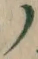 文字 ノ