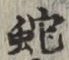 文字蛇