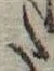 Đã định vị 𛁠