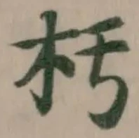 杇の位置