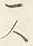 文字一