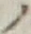 字ノ