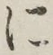 글자 に