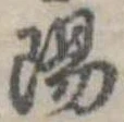 陽 위치 확인됨