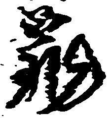 已定位亀