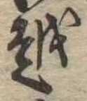 越 위치 확인됨