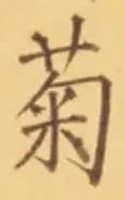 글자 菊