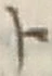 「ト」字
