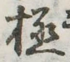極 위치 확인됨