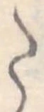 Đã định vị 𛁠