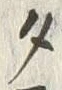 文字タ