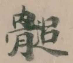 𩪀 위치 확인됨