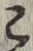 文字 こ