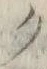 “ク”字