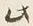 Character 此