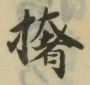 撦の位置