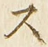 𡨸ス
