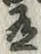 字有
