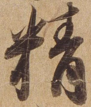 精 위치 확인됨