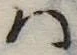 Đã định vị 𛂞