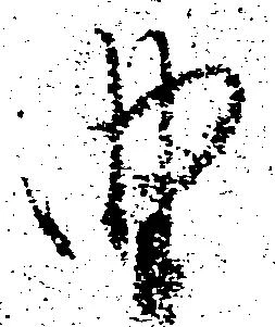 曲の位置