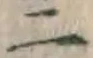 𡨸二