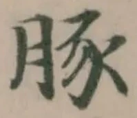 豚 위치 확인됨