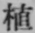 글자 植