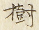 글자 樹