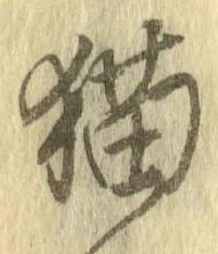 位置 確認된 猫