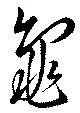 已定位龜