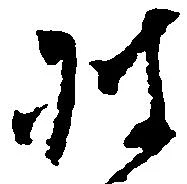 披の位置